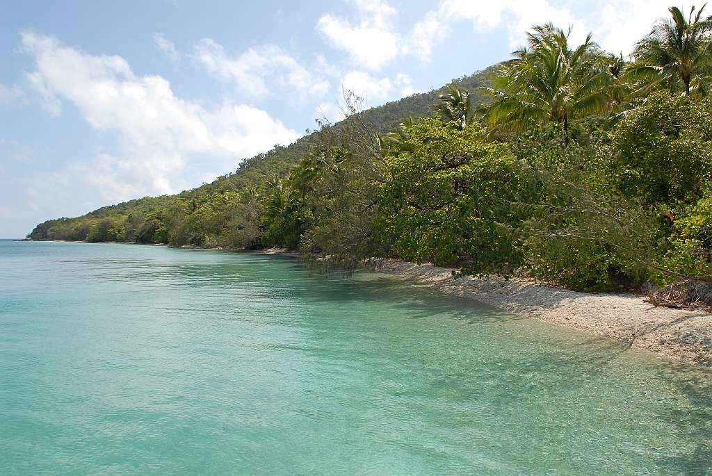 0870 Fitzroy Island.jpg